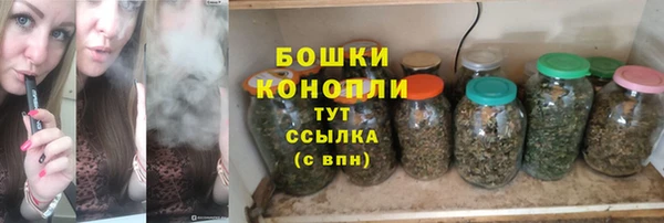 сатива Заволжье