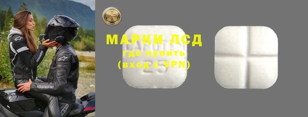 сатива Заволжье
