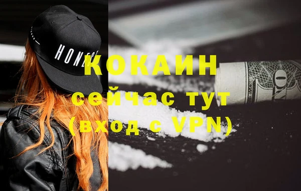сатива Заволжье