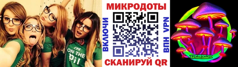 Псилоцибиновые грибы мухоморы  закладка  Дудинка 